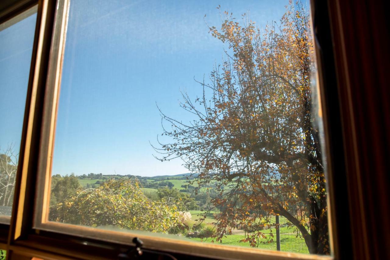 Vivere Retreat Neerim South エクステリア 写真