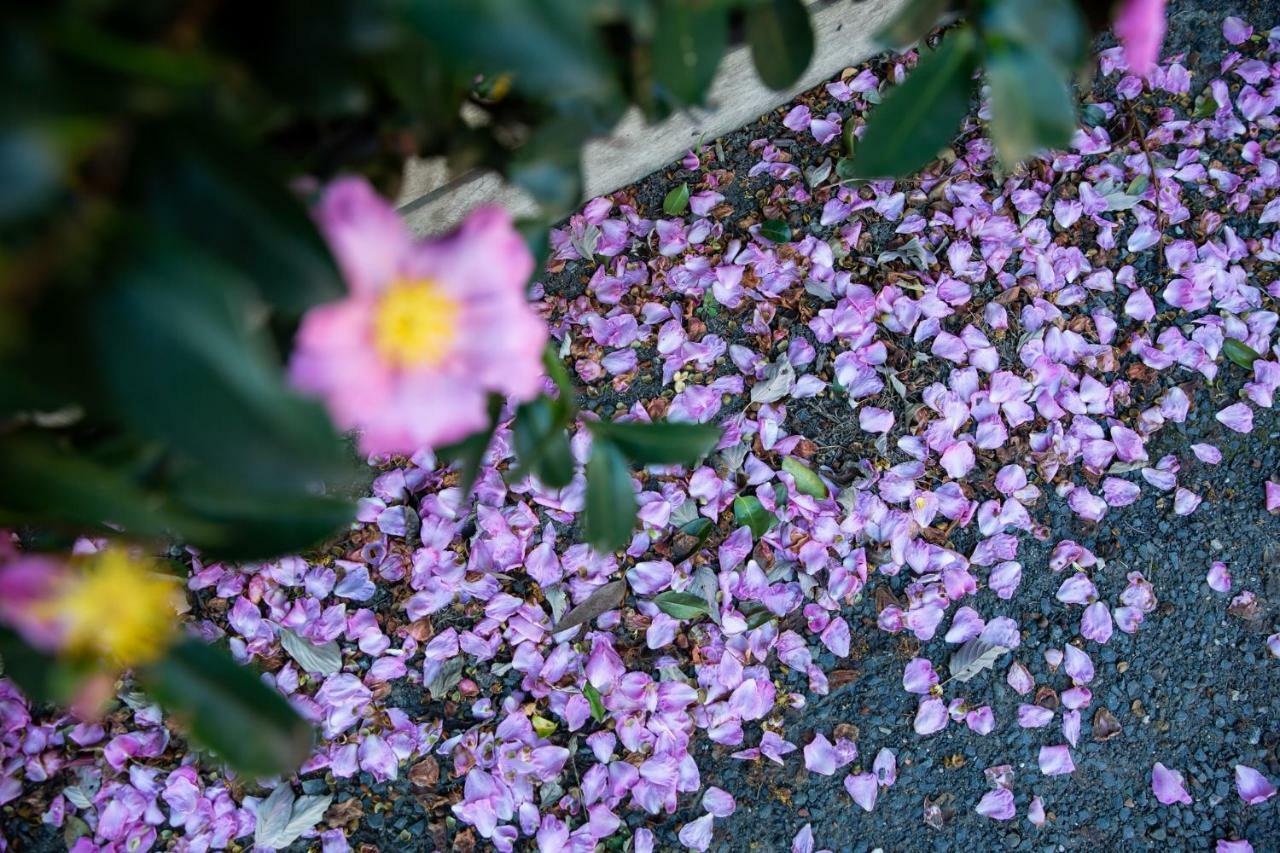 Vivere Retreat Neerim South エクステリア 写真