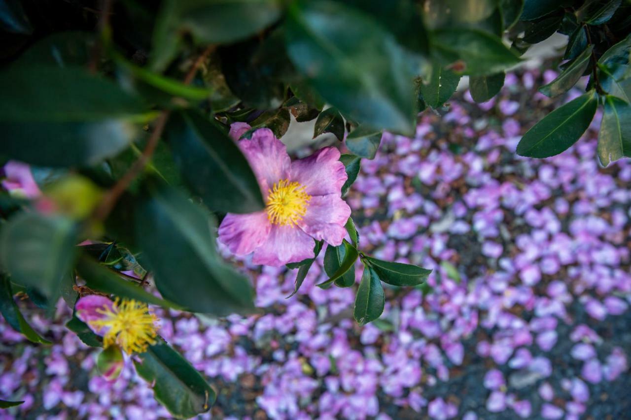 Vivere Retreat Neerim South エクステリア 写真