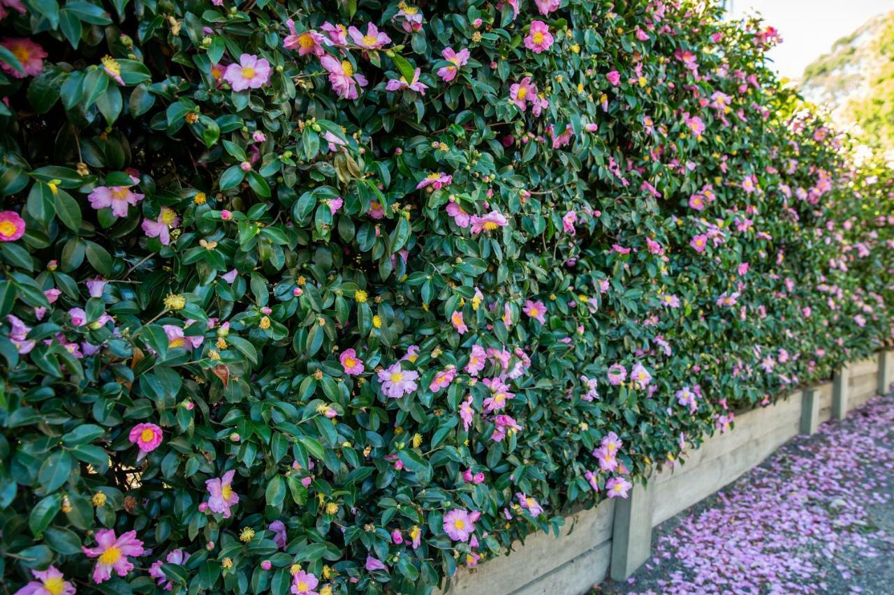 Vivere Retreat Neerim South エクステリア 写真